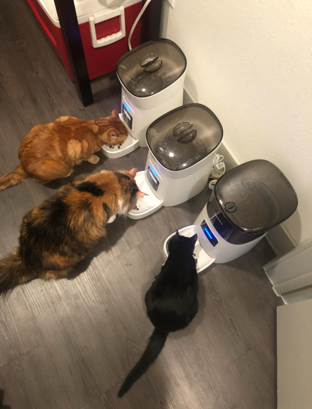 Automatic WIFI Pet Feeder